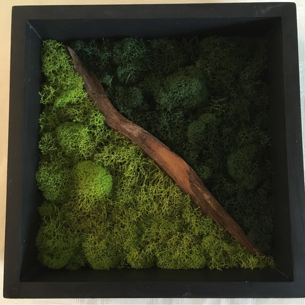 Two preserved moss wall hangings in light green and dark green with black frame. - Picture 2 of 4